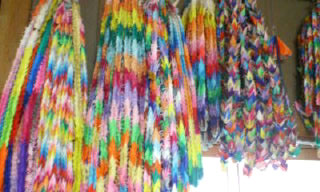 �����N���̎ʐ^1